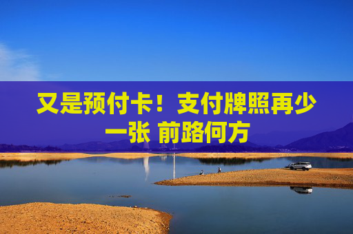 又是预付卡！支付牌照再少一张 前路何方