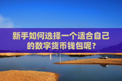 新手如何选择一个适合自己的数字货币钱包呢？