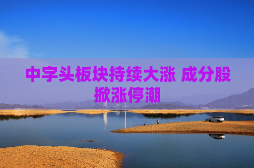 中字头板块持续大涨 成分股掀涨停潮