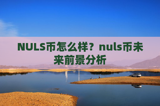 NULS币怎么样？nuls币未来前景分析
