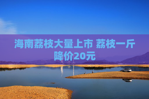 海南荔枝大量上市 荔枝一斤降价20元