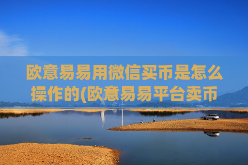 欧意易易用微信买币是怎么操作的(欧意易易平台卖币)