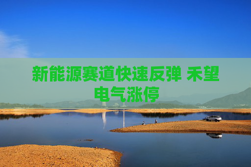 新能源赛道快速反弹 禾望电气涨停