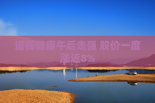 诺辉健康午后走强 股价一度涨近8%