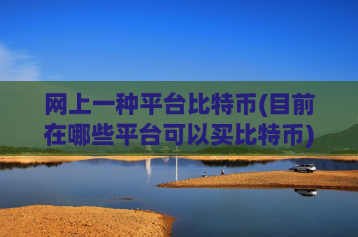 网上一种平台比特币(目前在哪些平台可以买比特币)