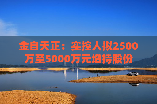 金自天正：实控人拟2500万至5000万元增持股份