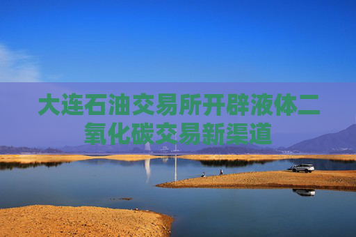大连石油交易所开辟液体二氧化碳交易新渠道