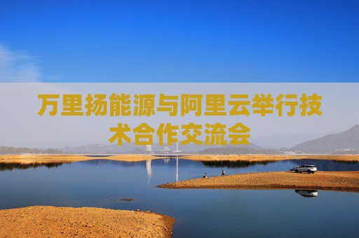 万里扬能源与阿里云举行技术合作交流会