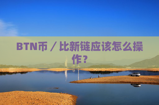 BTN币／比新链应该怎么操作？