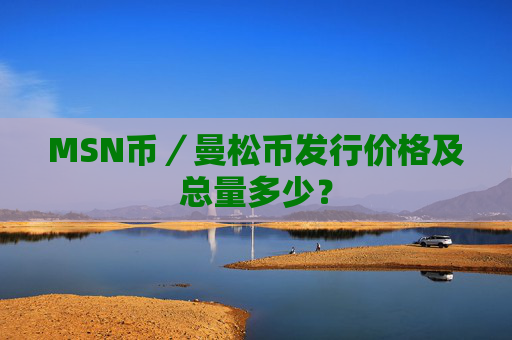 MSN币／曼松币发行价格及总量多少？