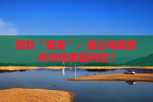 微软“瘦身”：退出电脑配件市场原因何在？