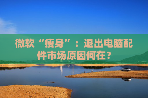 微软“瘦身”：退出电脑配件市场原因何在？