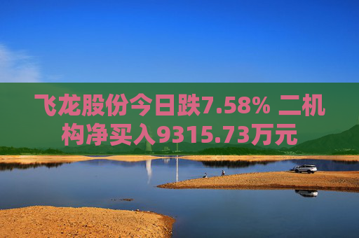 飞龙股份今日跌7.58% 二机构净买入9315.73万元