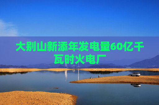 大别山新添年发电量60亿千瓦时火电厂
