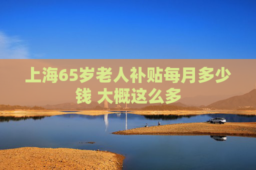 上海65岁老人补贴每月多少钱 大概这么多