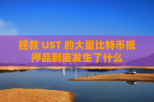 拯救 UST 的大量比特币抵押品到底发生了什么