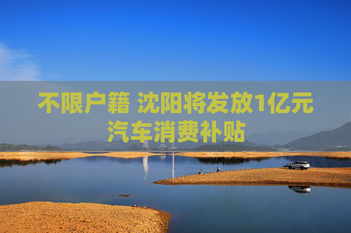 不限户籍 沈阳将发放1亿元汽车消费补贴