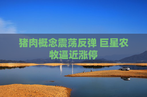 猪肉概念震荡反弹 巨星农牧逼近涨停