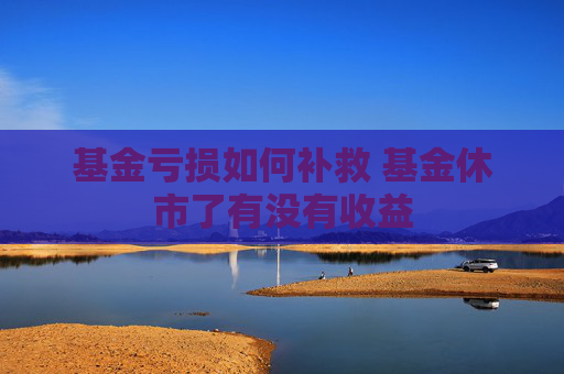 基金亏损如何补救 基金休市了有没有收益