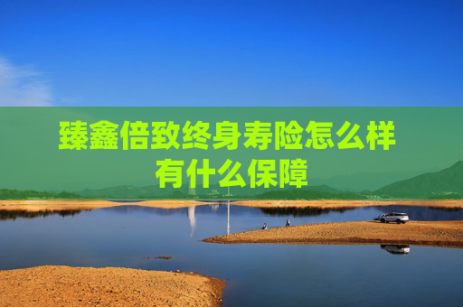 臻鑫倍致终身寿险怎么样 有什么保障