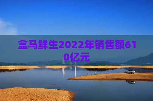 盒马鲜生2022年销售额610亿元