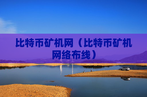 比特币矿机网（比特币矿机网络布线）