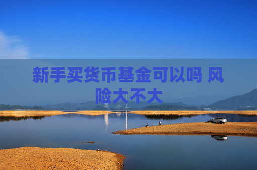新手买货币基金可以吗 风险大不大