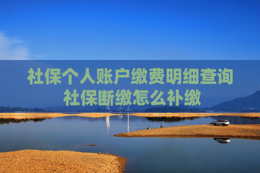 社保个人账户缴费明细查询 社保断缴怎么补缴