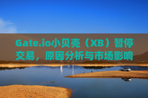 Gate.io小贝壳（XB）暂停交易，原因分析与市场影响 gate.io小贝壳暂停交易