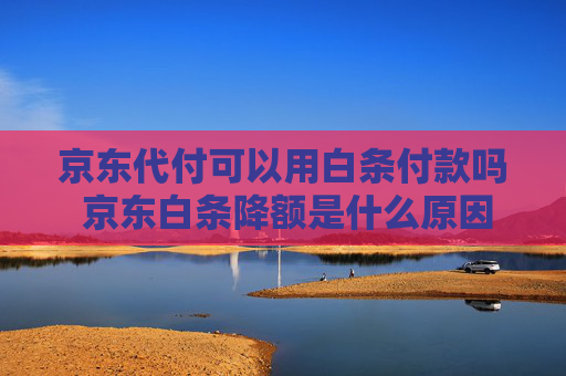 京东代付可以用白条付款吗 京东白条降额是什么原因