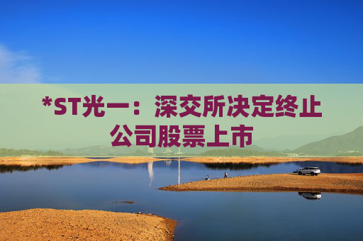 *ST光一：深交所决定终止公司股票上市