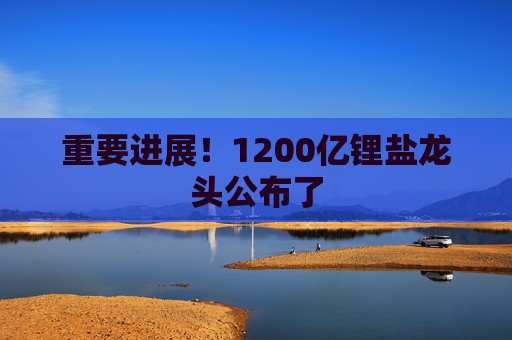 重要进展！1200亿锂盐龙头公布了