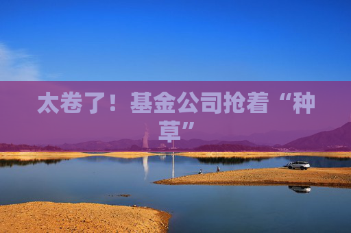 太卷了！基金公司抢着“种草”