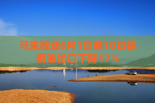 马来西亚6月1日至10日棕榈油出口下降17%