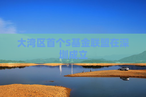 大湾区首个S基金联盟在深圳成立