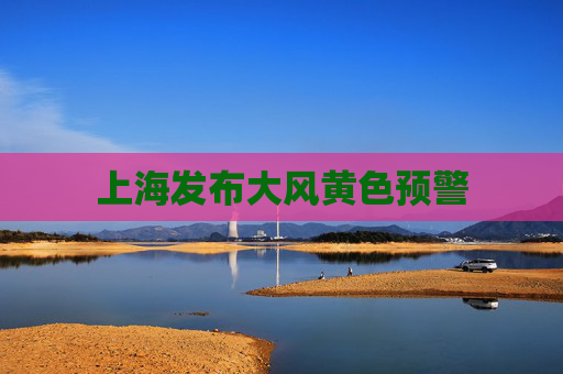 上海发布大风黄色预警