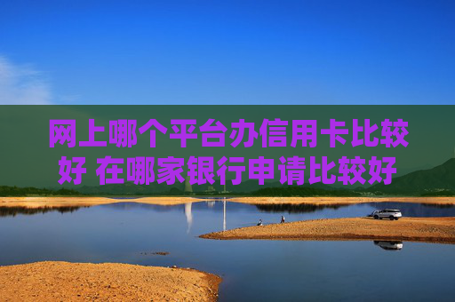 网上哪个平台办信用卡比较好 在哪家银行申请比较好