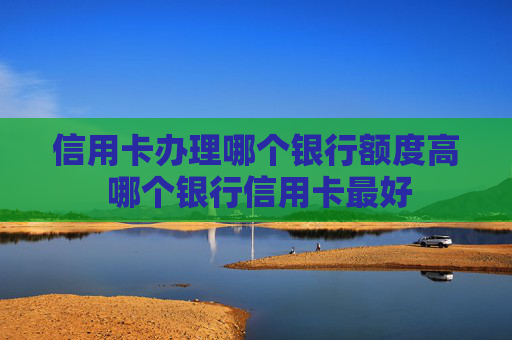 信用卡办理哪个银行额度高 哪个银行信用卡最好
