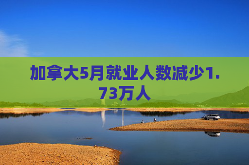 加拿大5月就业人数减少1.73万人