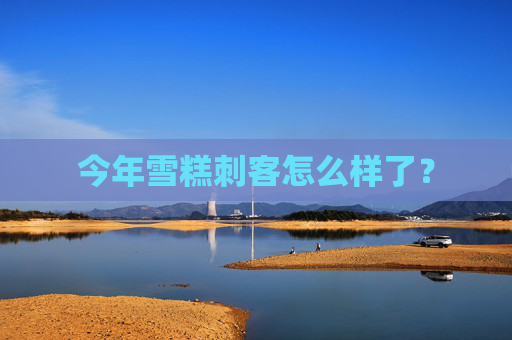 今年雪糕刺客怎么样了？