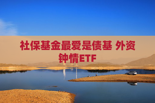 社保基金最爱是债基 外资钟情ETF