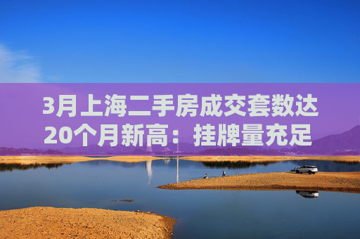 3月上海二手房成交套数达20个月新高：挂牌量充足 价格稳定