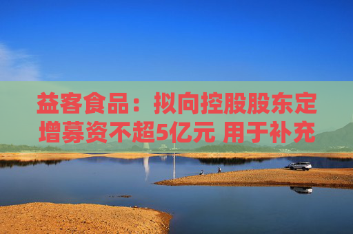 益客食品：拟向控股股东定增募资不超5亿元 用于补充流动资金