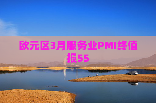 欧元区3月服务业PMI终值报55