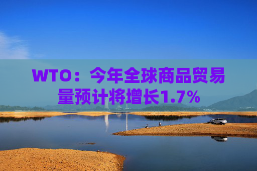 WTO：今年全球商品贸易量预计将增长1.7%