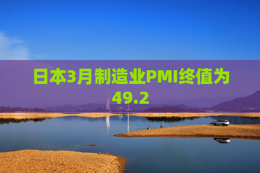 日本3月制造业PMI终值为49.2