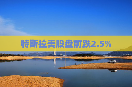 特斯拉美股盘前跌2.5%