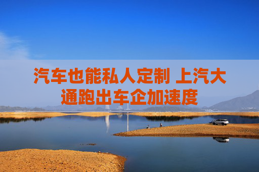 汽车也能私人定制 上汽大通跑出车企加速度