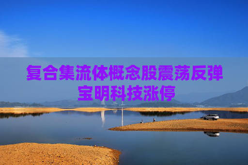 复合集流体概念股震荡反弹 宝明科技涨停
