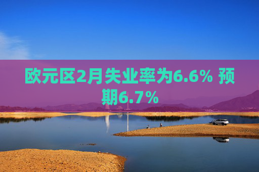 欧元区2月失业率为6.6% 预期6.7%